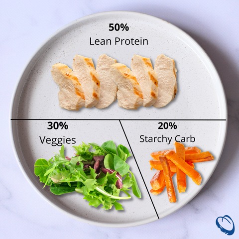 bariatric plate from bariatricfusion.com