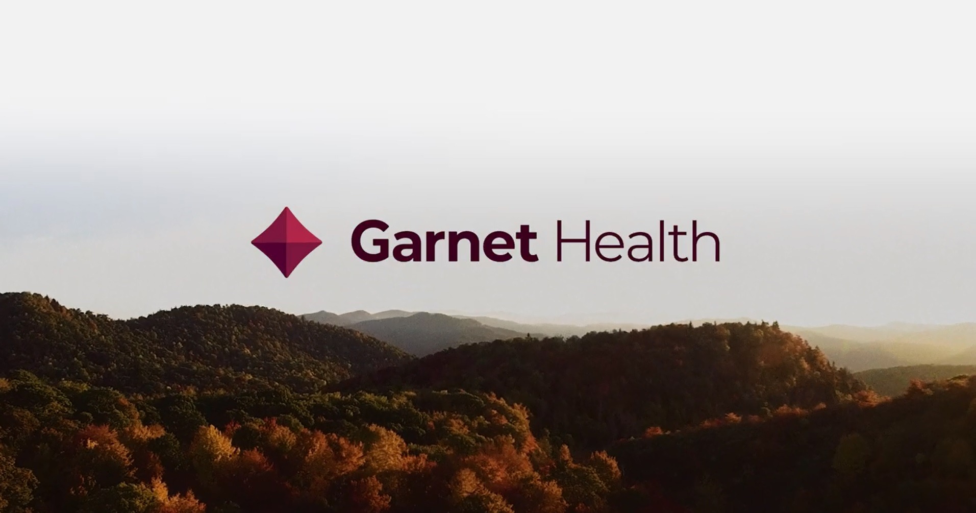 About Garnet Health