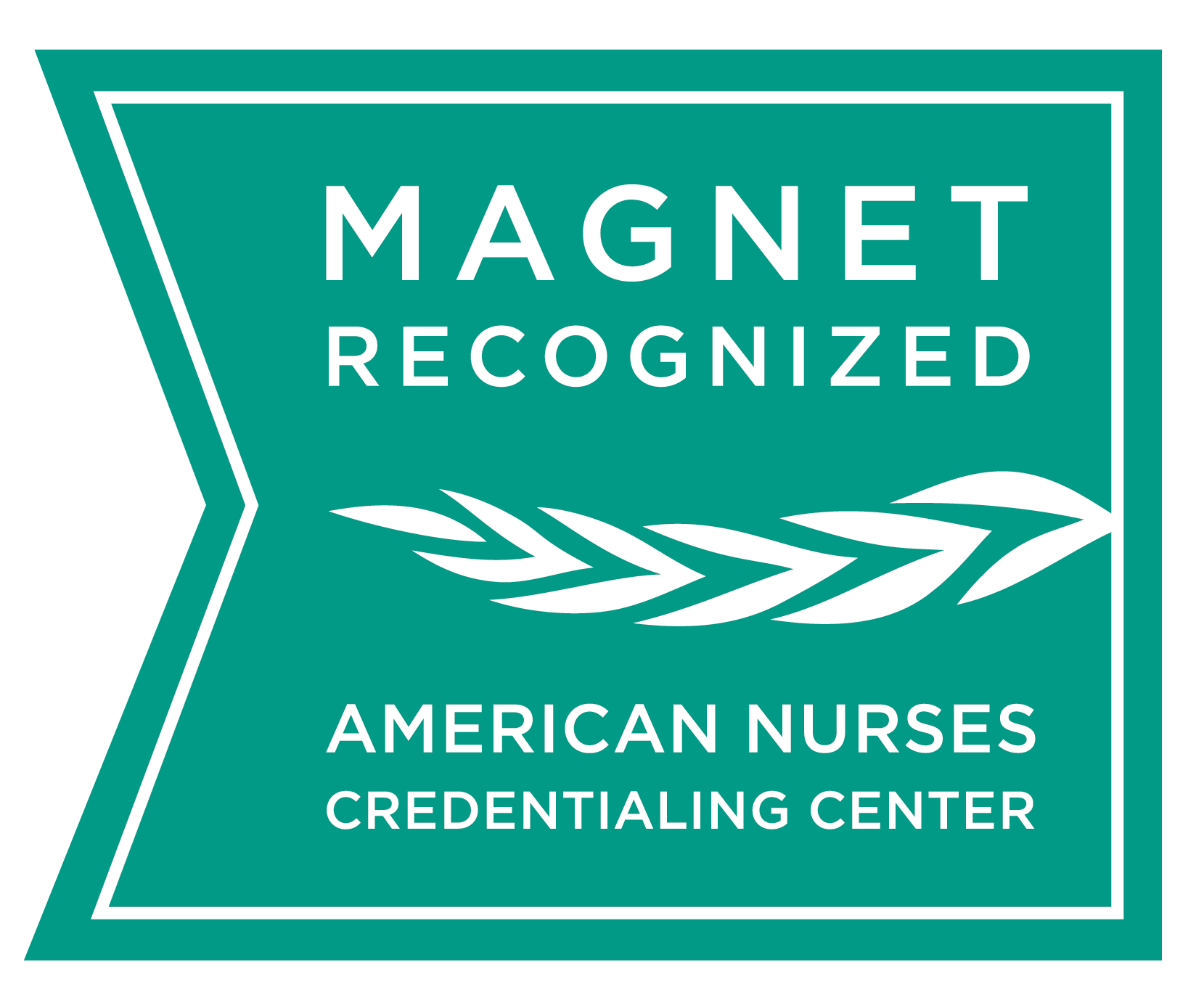 Magnet Recognition