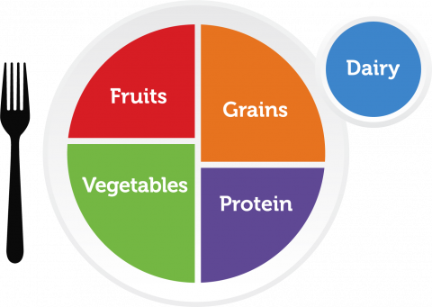 Proportioned graphic of plate with fruits, vegetables, grains and proteins, plus dairy in a circle to the side